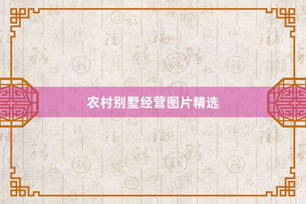农村别墅经营图片精选