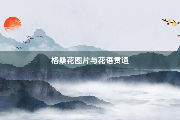 格桑花图片与花语贯通