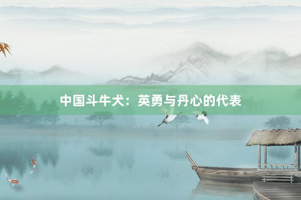 中国斗牛犬：英勇与丹心的代表