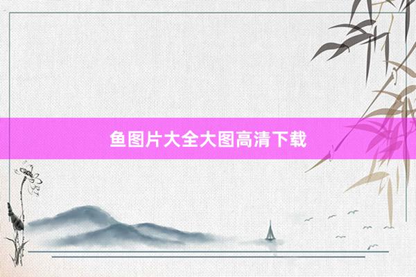 鱼图片大全大图高清下载
