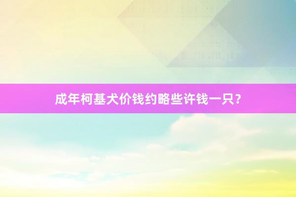 成年柯基犬价钱约略些许钱一只？